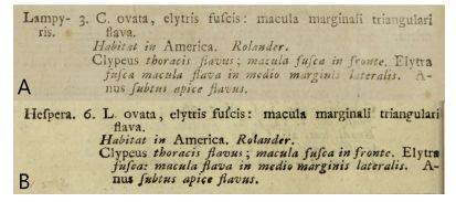 Figure 1. Comparison of Linnaeus’ descriptions. A) Description of Cantharis lampyris Linnaeus, 1758. B) Description of Lampyris hespera Linnaeus, 1767 new synonym.