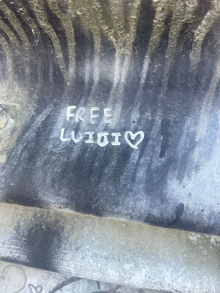 “Free Luigi 🩷” written in white on a roadside fence