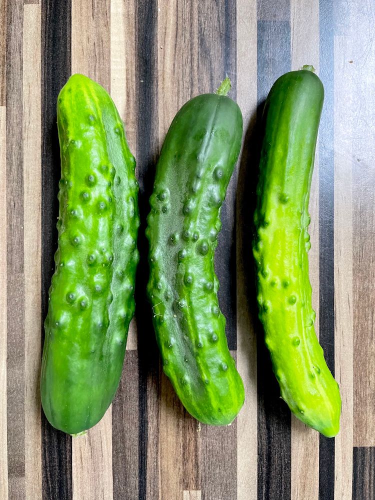 Three bright green and knobbly cucumbers on a brown stripy worktop.