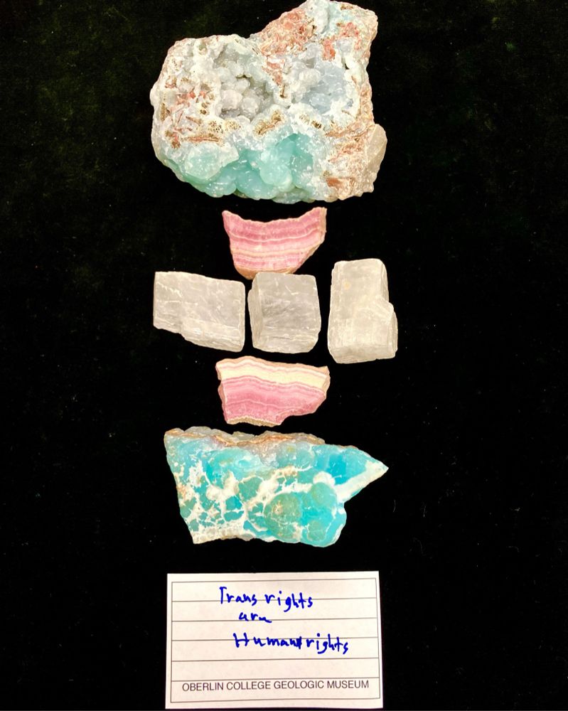 Carbonate mineral samples arranged like the trans flag with a museum label reading “Trans rights are human rights”