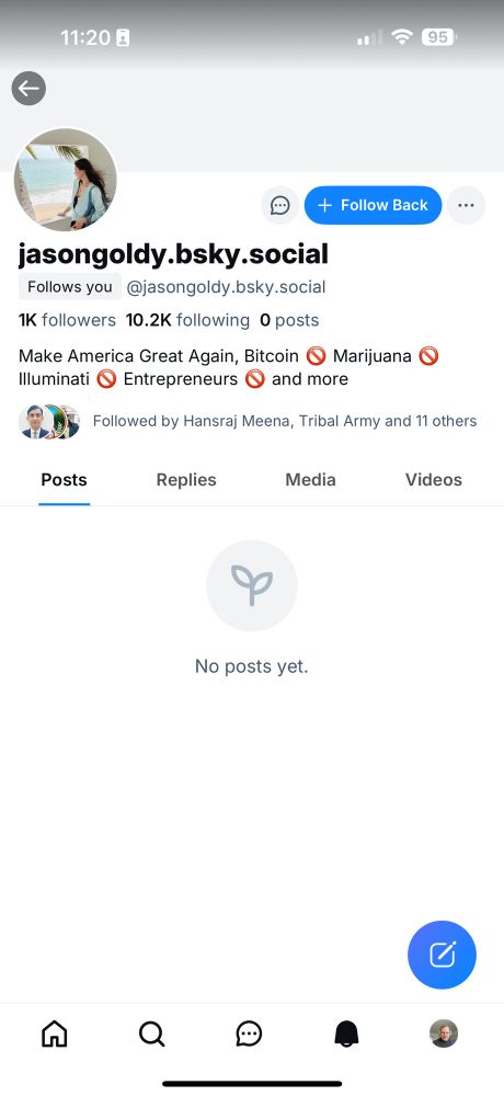 Screen grab of suspicious looking Bluesky account 