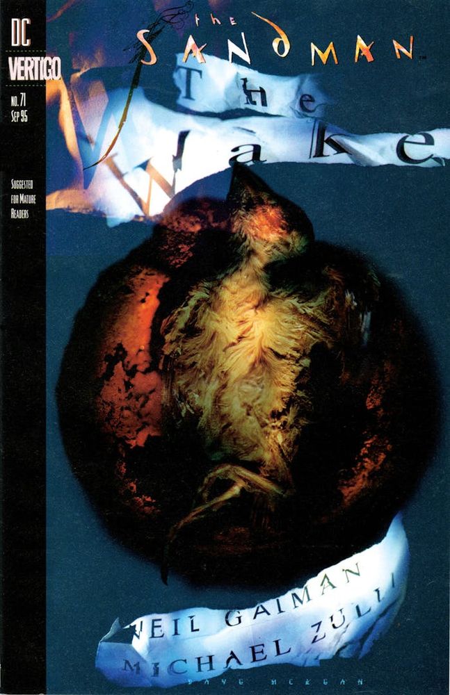 Cover of The Sandman #71 by Dave McKean