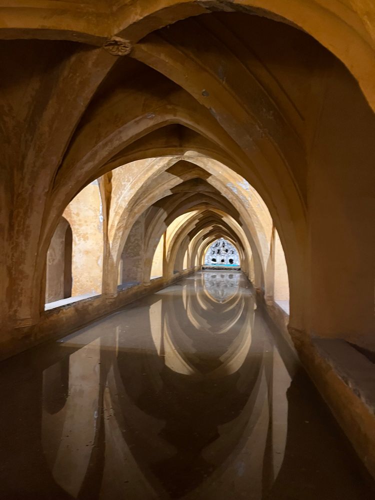 An intricate, low vaulted ceiling over a long cistern
