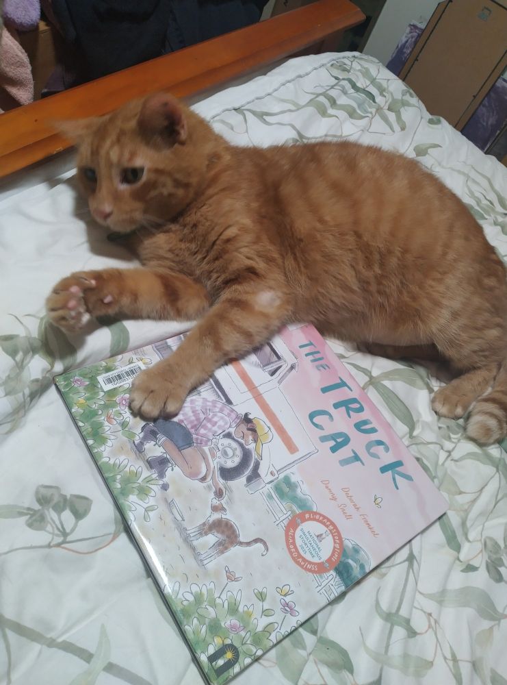 A large orange cat lays on a white eucalyptus bedspread with his paw holding the book The Truck Cat.