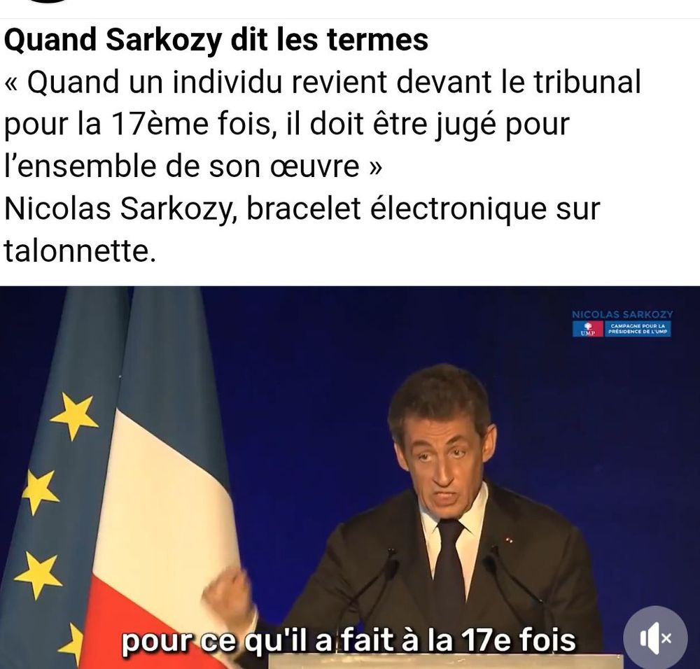 Déclaration de Nicolas Sarkozy : "Quand un individu revient devant le tribunal pour la 17ème fois, il doit être jugé pour l'ensemble de son œuvre."