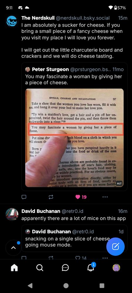 A screenshot of this post, with another post under it. The next post is:
David Buchanan
apparently there are a lot of mice on this app
