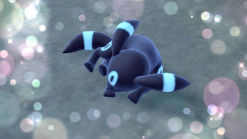 Shiny Umbreon sleeping while having her photo taken. There are circular sparkles around the photo like a frame