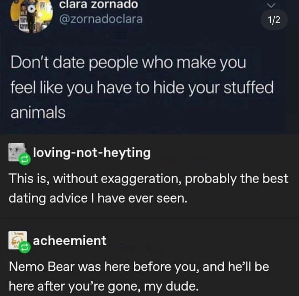 A tumblr post that says “don’t date people who make you feel like you have to hide your stuffed animals”
