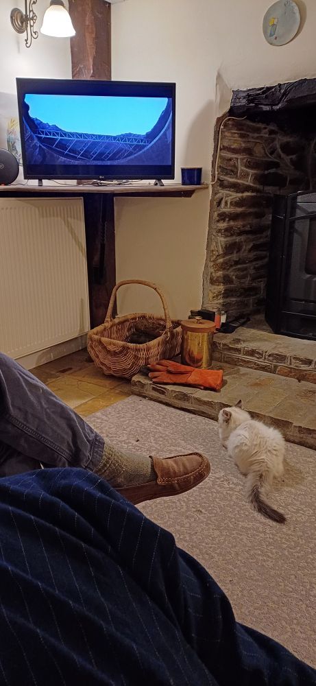 Mabel the cat watches with great interest.