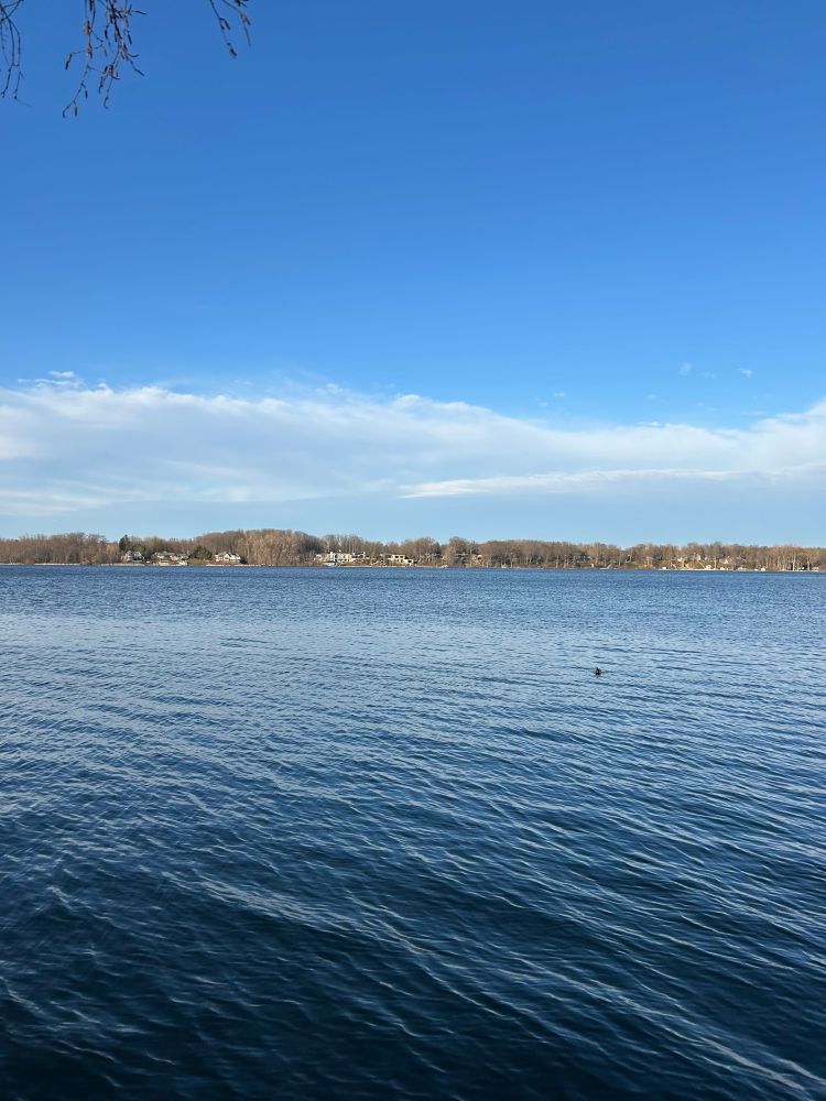 Photos is of an inland lake. The sky is blue with light wispy clouds in sight. The water has gentle ripples in it from very small waves. You can see across the river the horizon. Some houses are viewable amongst the trees. The trees aren’t green yet. 