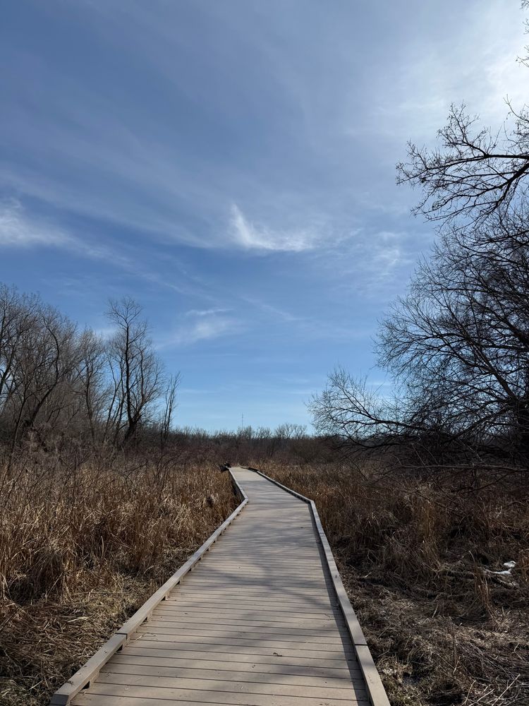 The picture shows a wooden pathway into a nature preserve. The Sky is blue with light wispy clouds. 