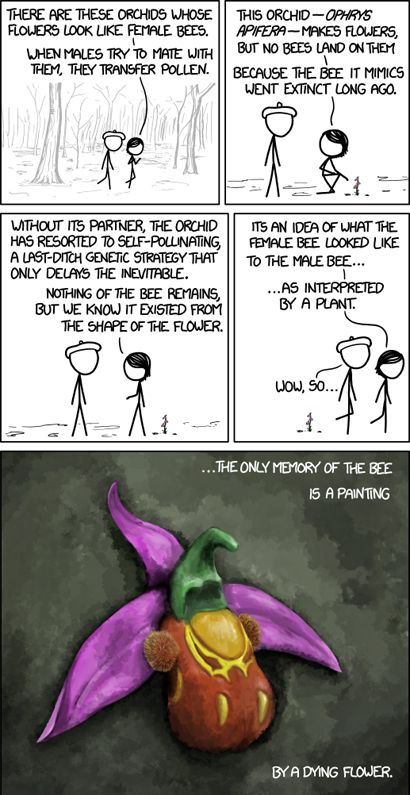 xkcd comic strip about an orchid that evolved to be pollinated by a bee that is now extinct, closing with the powerful line 