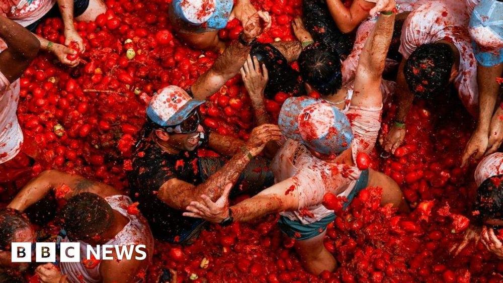 Watch: Thousands have tomato fight at La Tomatina Festival