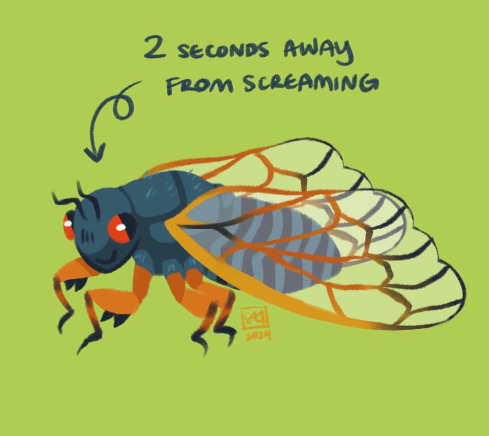 a cicada, considerably less terrifying than they are in real life. seriously why do they look like that