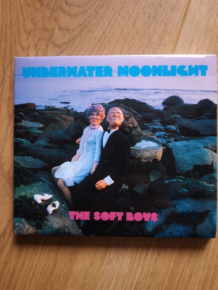 Underwater Moonlight by The Soft Boys. A well dressed old couple sit on some rocks by the beach.