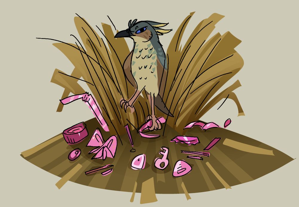 female bowerbird with a bower full of pink trinkets