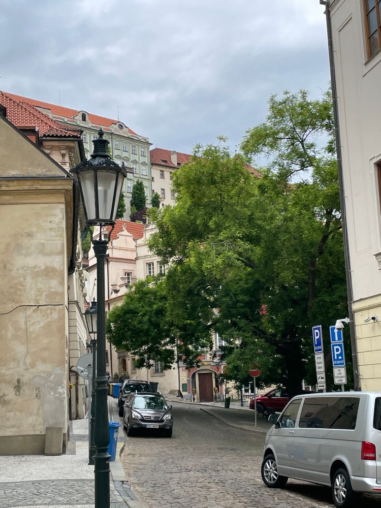 Picturesque Prague street near our hotel. It’s cobbled and there’s a tree in the middle. 