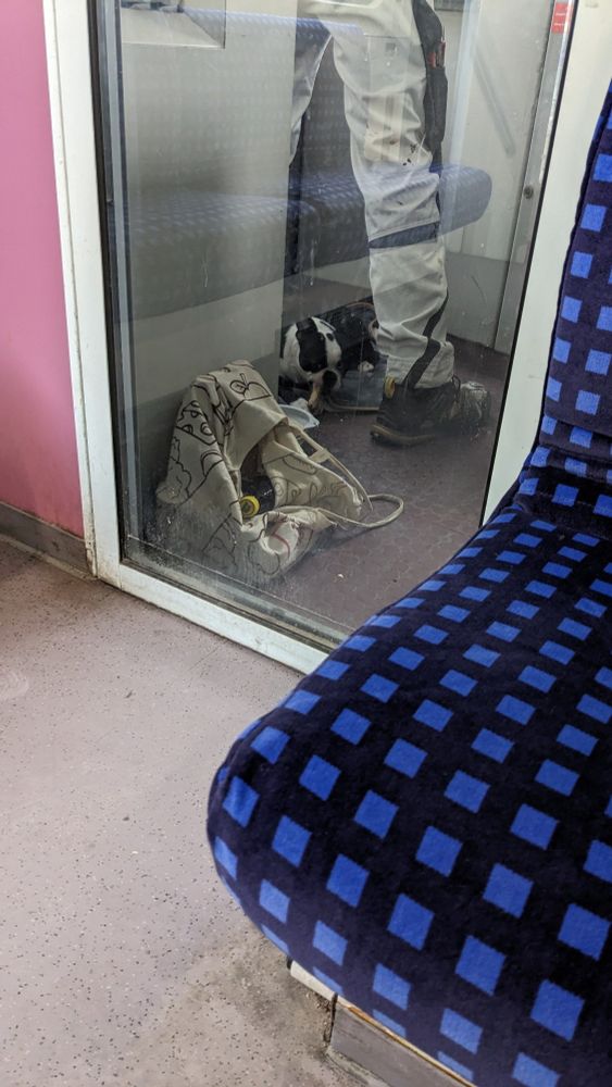 Süßer Hund vom Lokführer