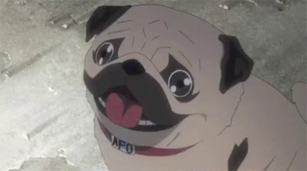 a pug dog with a collar that says afo on it is sitting on the ground .