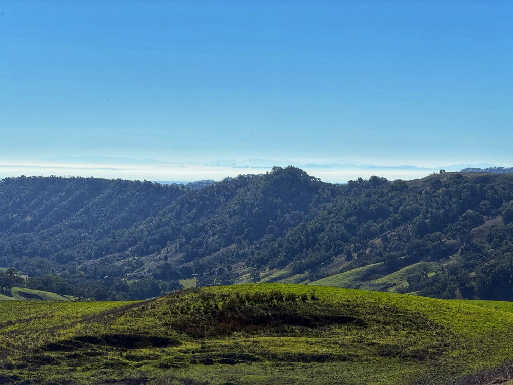 The beautiful green hills of Napa and Sonoma under blue skies, where you can just barely make out the hazy skyline of San Francisco