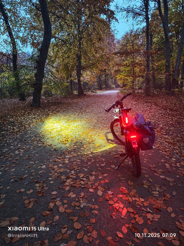 Mein beleuchtetes Pedelec auf einem leicht erlaubten Weg zwischen Laubbäumen in herbstlichen Farben und novembergrauem Himmel 