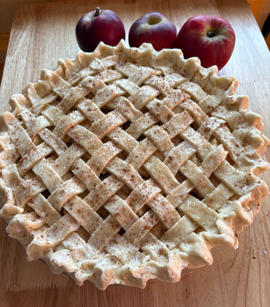 Lattice top pie completed & ready to go into oven. Top is sprinkled with cinnamon & sugar 