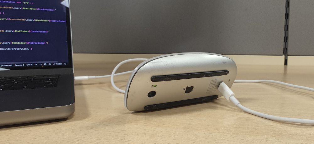Magic mouse charging 