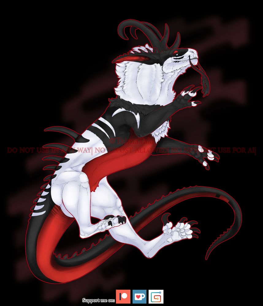 Black and white dragon without wings with a red belly 