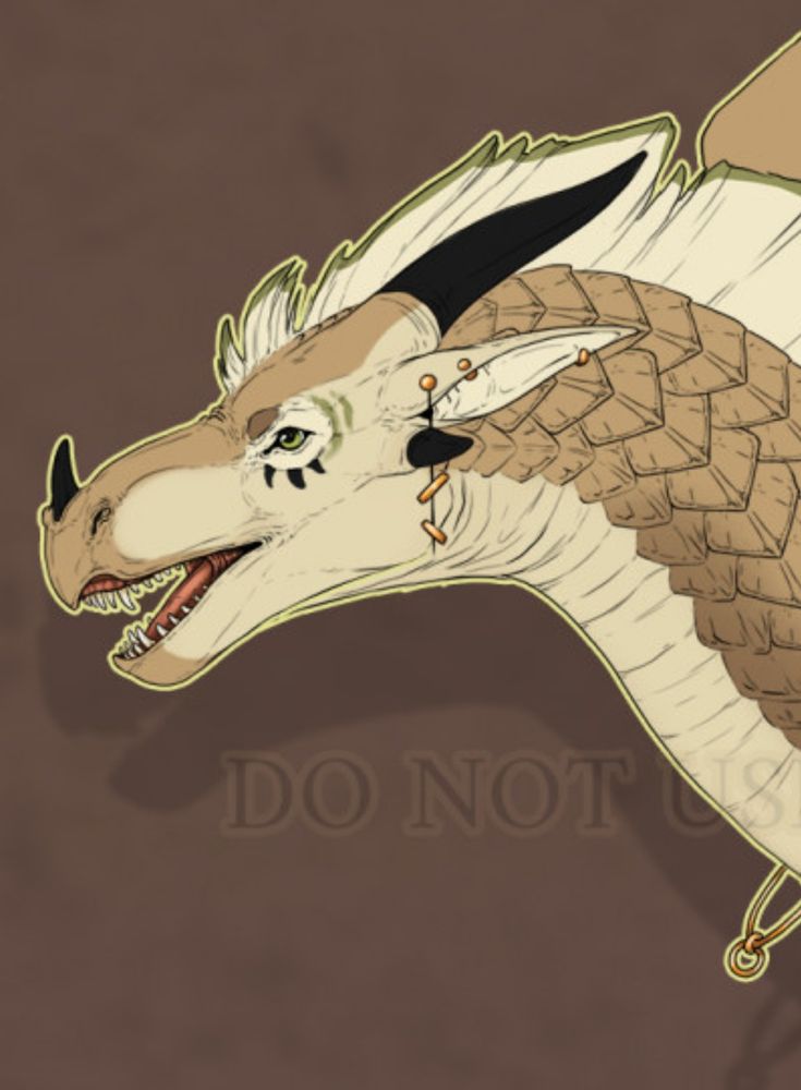 A close up of the dragons head. 