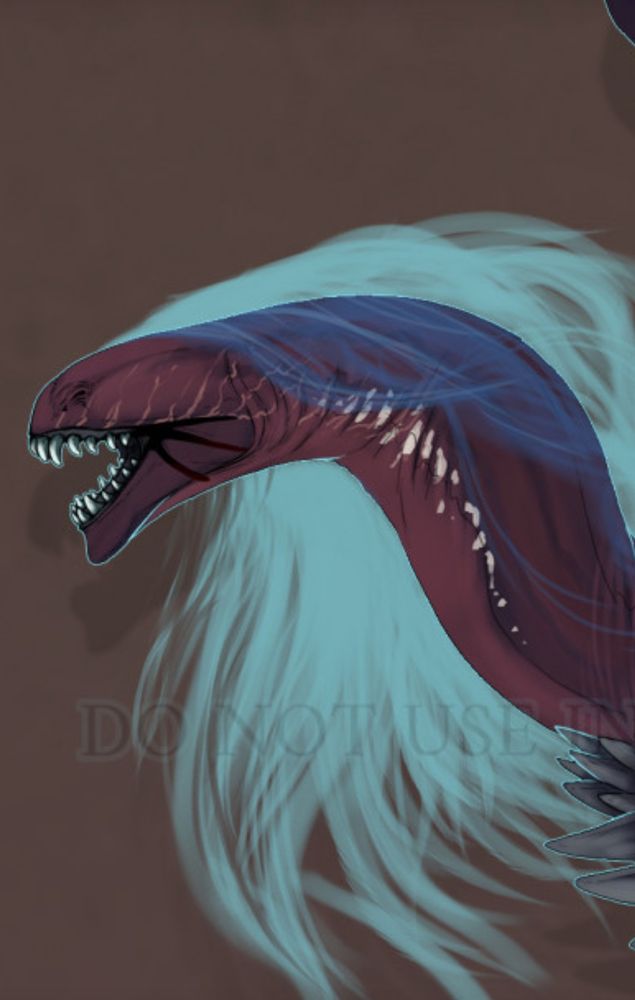 Close up of the dragons head 