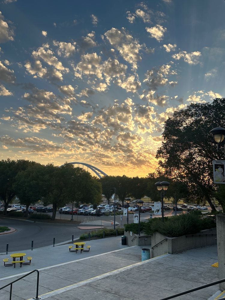 A photo of strikingly rays of sunshine piercing through popcorn clouds behind full elm trees and the Walterdale Bridge in Edmonton. 
