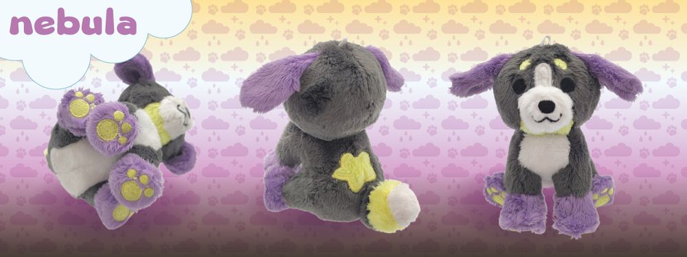 photos of a small dark gray, purple, and yellow puppy from the bottom, back, and front, with the name nebula in the top left corner.