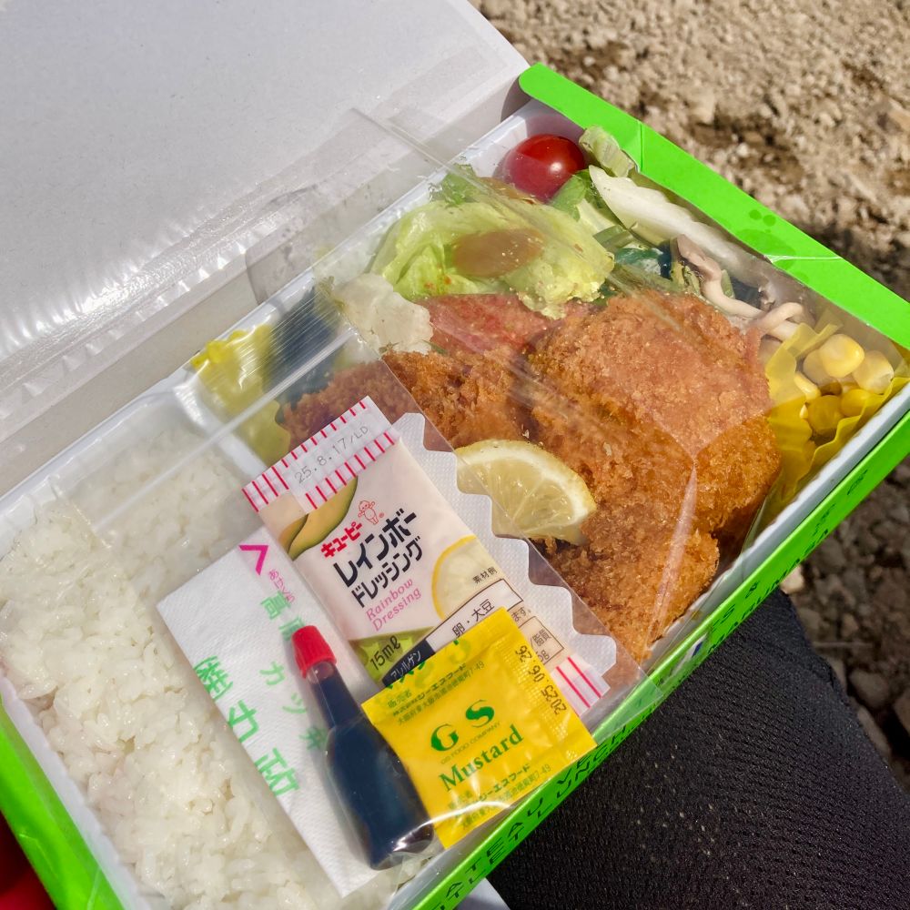 八ヶ岳名物「チキンカツ使用高原野菜とカツの弁当」ひらくと白米、チキンカツ3切れ、生野菜のサラダと、小分けのドレッシング・マスタード・醤油が入っている