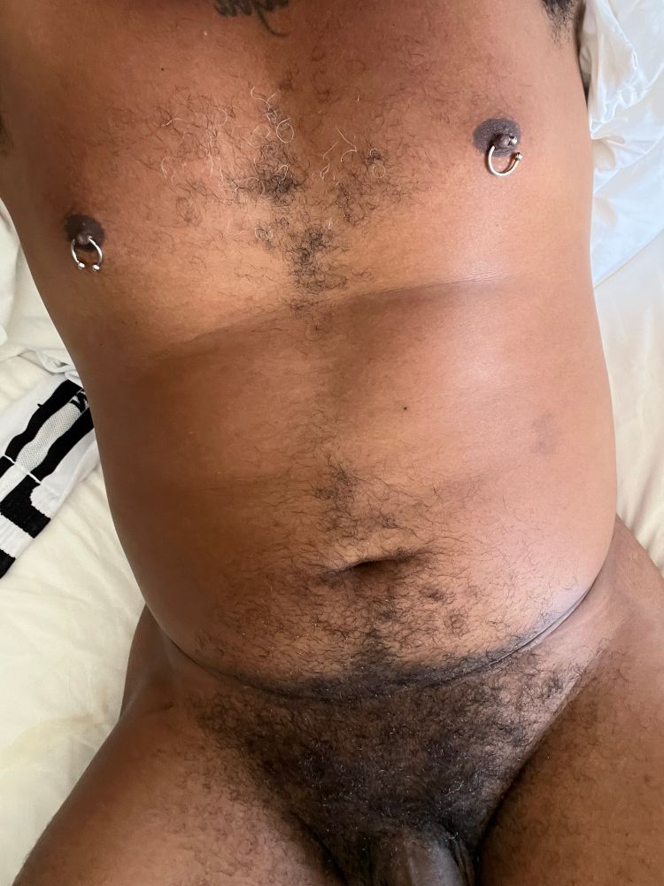Belly, Bear, Hairy, Cub