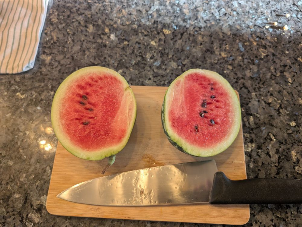 Small watermelon on a small cutting board with the Victorinox Fibrox 8" Chef's Knife for scale. The watermelon is cut in half and is red inside.
