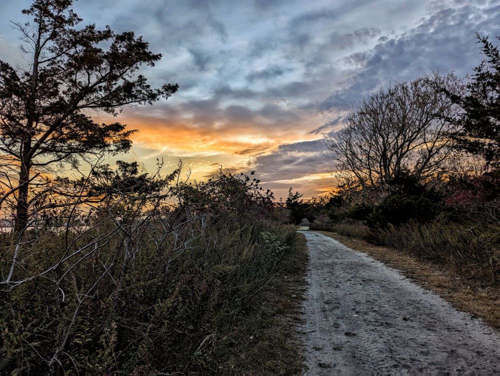 Photo shows a sandy beach trail at sundown lined on either side by brown foliage, dry for the autumn season. The sunset is brilliant orange and yellow mottled with gray clouds 