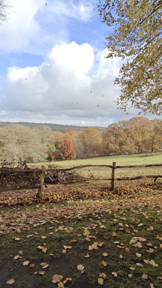 A rustic wooden fence surrounded by fallen autumn leaves with a view across a field to distant trees with autumn colour
