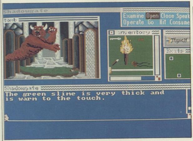 graphics: an angry horned floating red demon is hovering over green slime on the ground. other windows of graphics show your inventory: a flaming torch, a key, etc, and exits. options are above this: examine, open, close, speak, operate, go, hit, consume.
text box down the bottom:
the green slime is very thick and is warm to the touch.