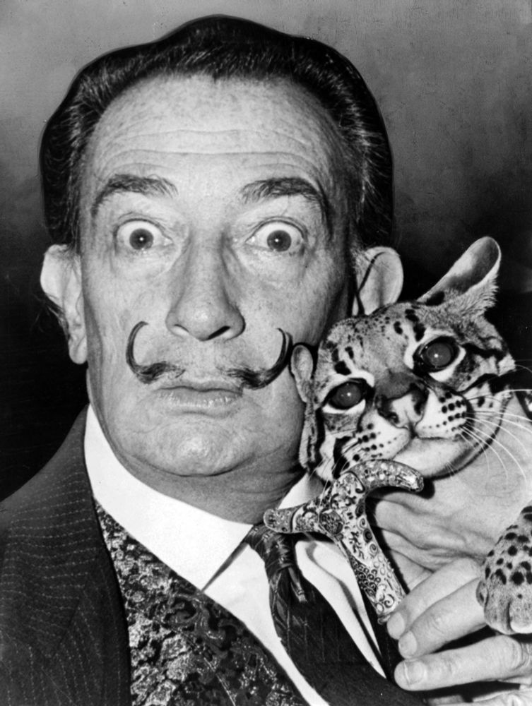 Un Caturday surréaliste avec Salvador Dali - Didier J. MARY (blog)