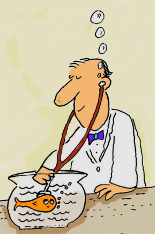 Comic. Ein Arzt hört mit einem Stethoskop einen kleinen Fisch im Glastank ab. Der Doctor blubbert aus den Ohren.