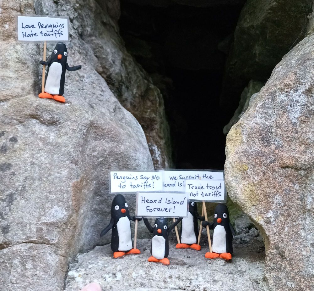 Five plasticine penguins hold signs reading "Love penguins Hate tariffs", "Penguins say NO to tariffs", "Heard Island Forever!", "Trade trout not tariffs", and one partly visible that says "... we support the Heard Isl..".