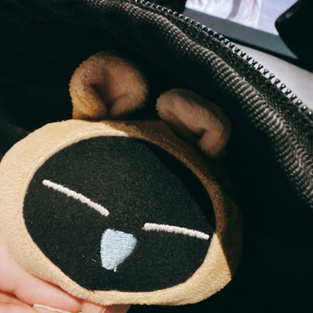 鞄の中のヘイショのぬいぐるみを撮った写真