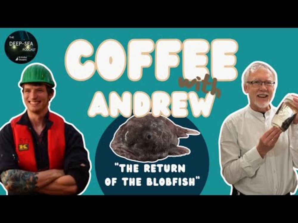 The return of the Blobfish | Coffee with Andrew | The Deep-Sea Podcast
