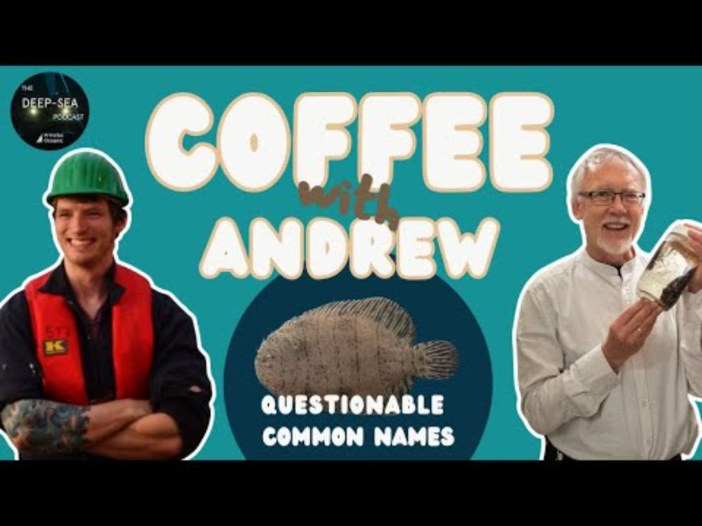 Questionable common names | Coffee with Andrew | The Deep-Sea Podcast Episode 52