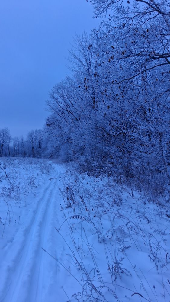 Our barefoot summer trail that is now a ski trail