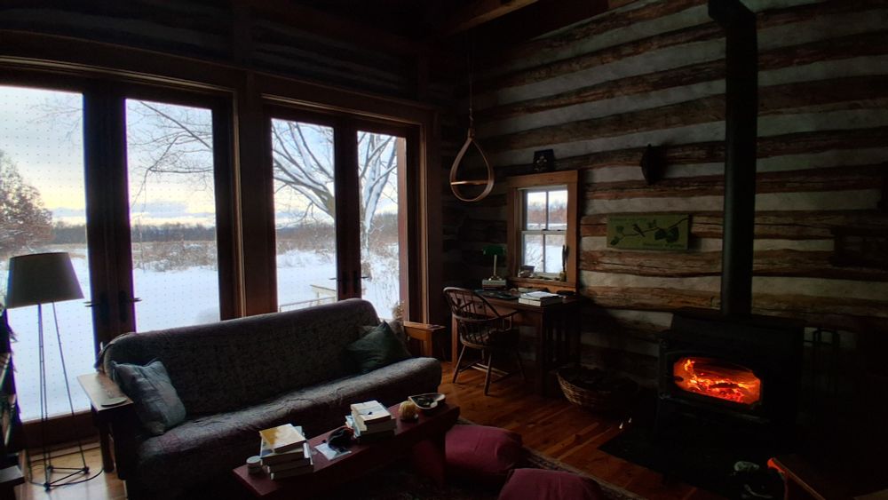 Our living room with our reliable woodstove and bird-friendly windows