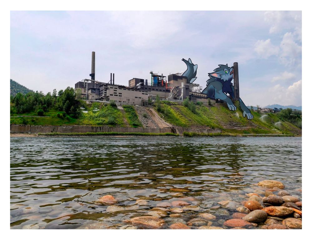 Comment image