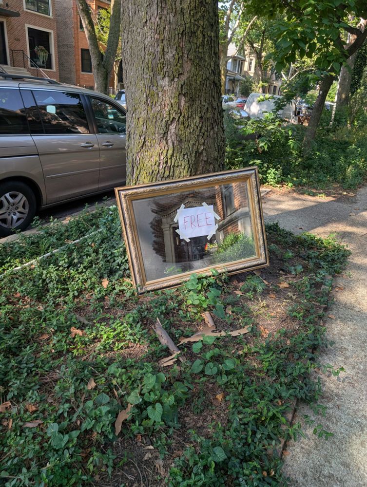 Photograph. A mirror resting against a tree on a sidewalk. The mirror has a piece of paper taped to it that says "FREE. " 