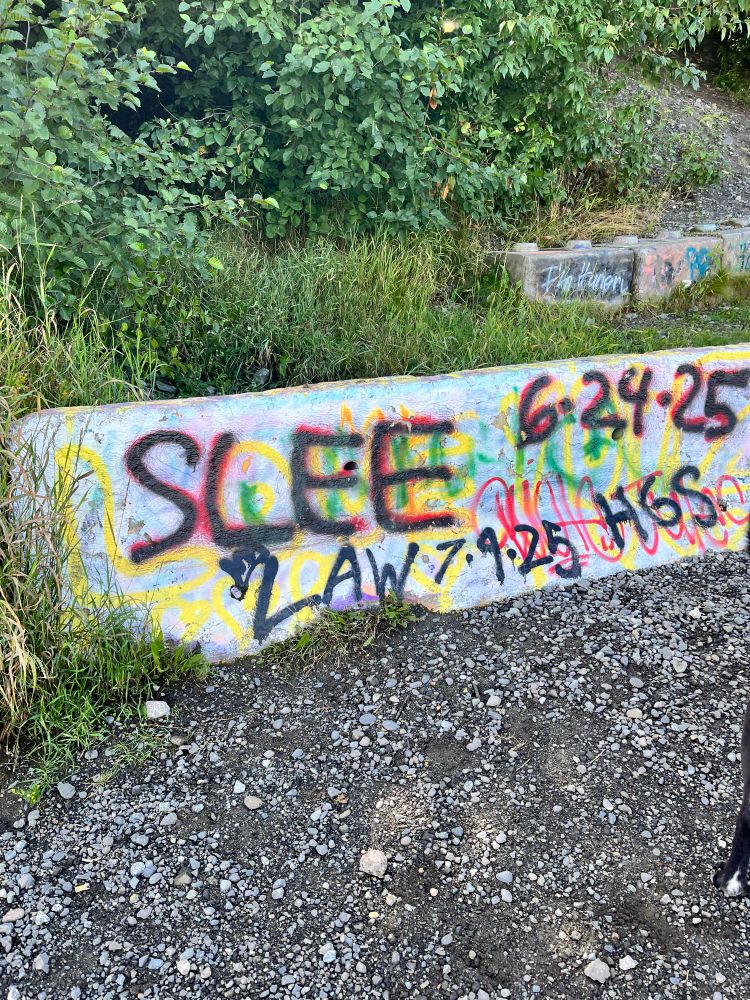 Concrete partition with spay paint graffiti that reads: SLEE 6-24-25