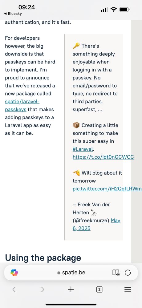 Screenshot of the article with a visual bug 